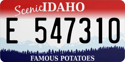 ID license plate E547310
