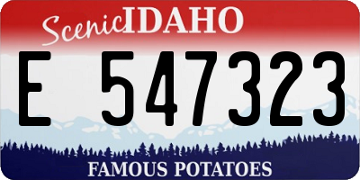ID license plate E547323