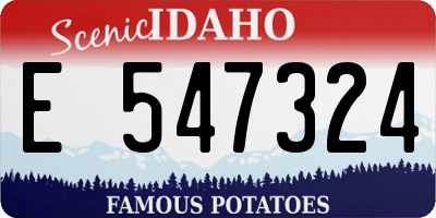 ID license plate E547324