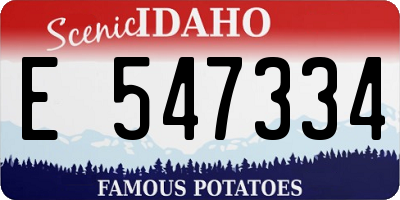 ID license plate E547334