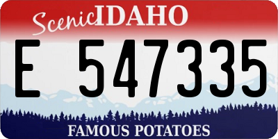 ID license plate E547335
