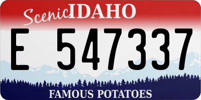 ID license plate E547337