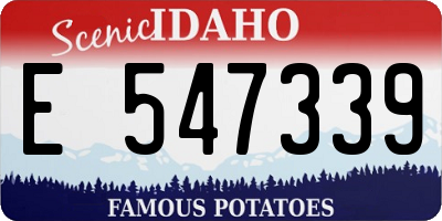 ID license plate E547339