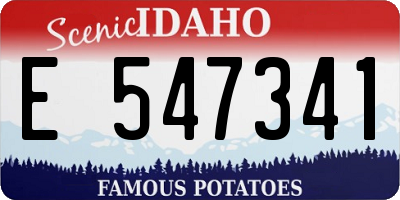 ID license plate E547341