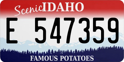 ID license plate E547359