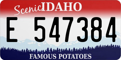 ID license plate E547384