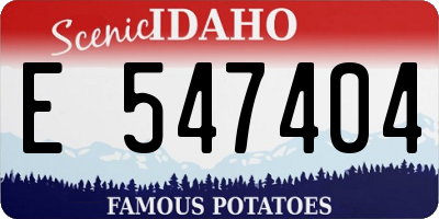 ID license plate E547404