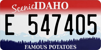 ID license plate E547405