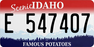 ID license plate E547407