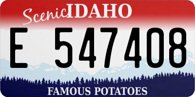 ID license plate E547408
