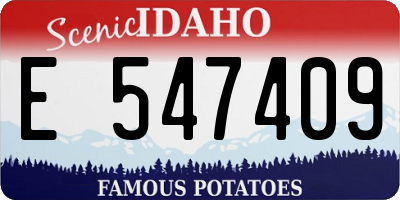 ID license plate E547409
