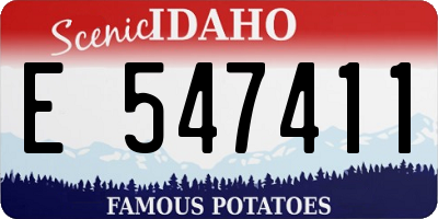 ID license plate E547411