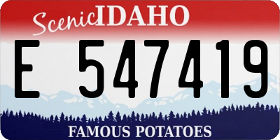 ID license plate E547419