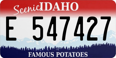 ID license plate E547427