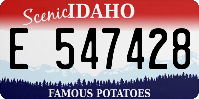 ID license plate E547428