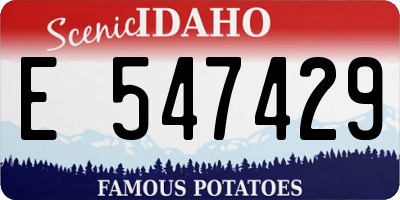 ID license plate E547429