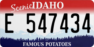 ID license plate E547434