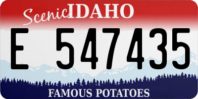 ID license plate E547435