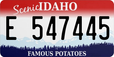 ID license plate E547445