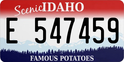ID license plate E547459