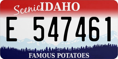 ID license plate E547461