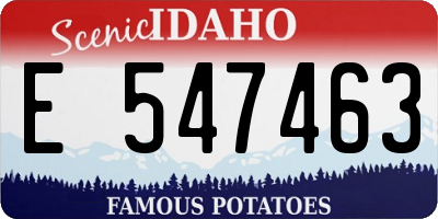 ID license plate E547463