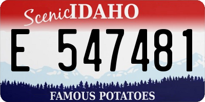 ID license plate E547481