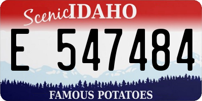 ID license plate E547484