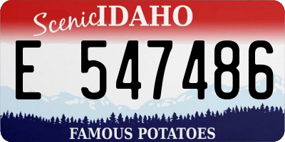 ID license plate E547486