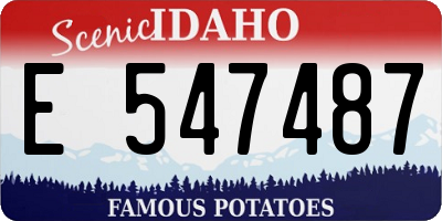 ID license plate E547487