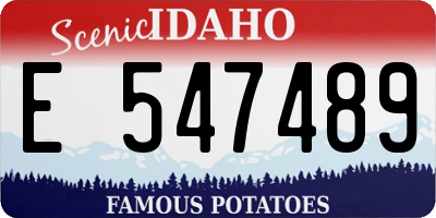 ID license plate E547489