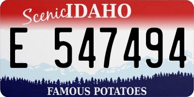 ID license plate E547494