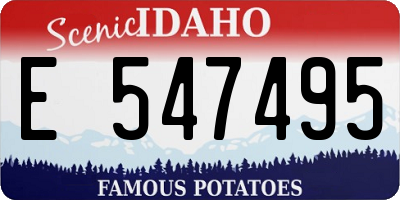 ID license plate E547495