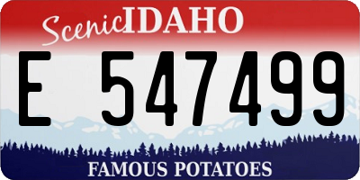 ID license plate E547499