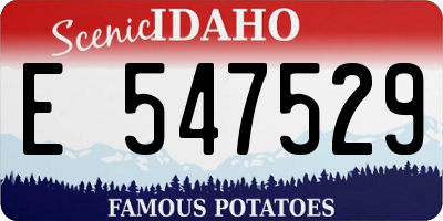 ID license plate E547529