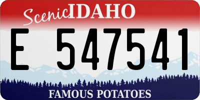 ID license plate E547541