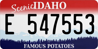 ID license plate E547553