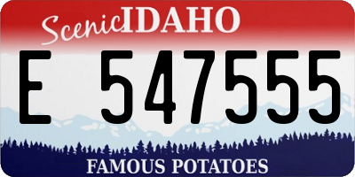 ID license plate E547555