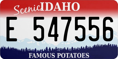 ID license plate E547556