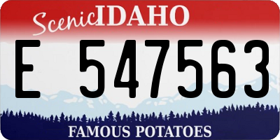 ID license plate E547563