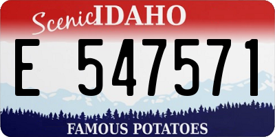 ID license plate E547571