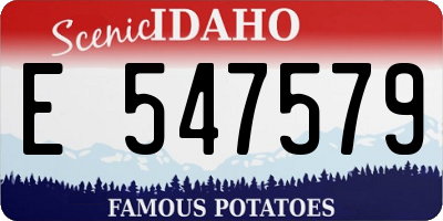 ID license plate E547579