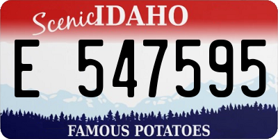 ID license plate E547595