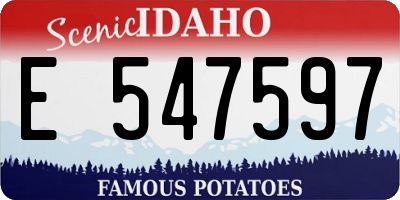 ID license plate E547597