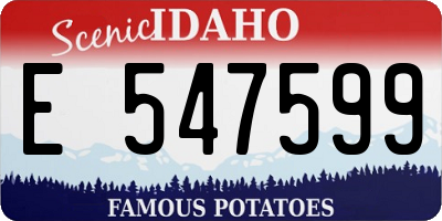 ID license plate E547599
