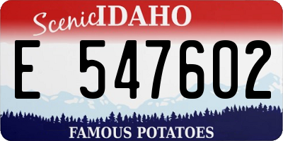 ID license plate E547602