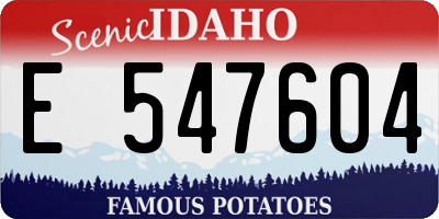 ID license plate E547604