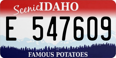 ID license plate E547609