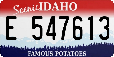 ID license plate E547613