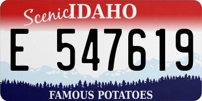 ID license plate E547619